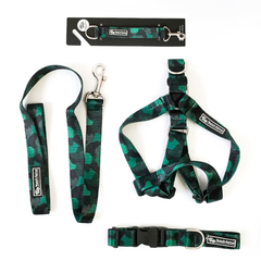 Combo Collar + Correa + Pretal + Llavero Niza