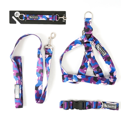 Combo Collar + Correa + Pretal + Llavero Monaco