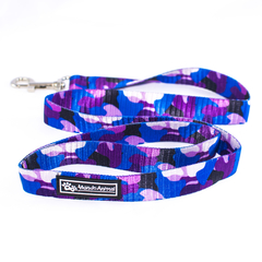 Combo Collar + Correa Monaco en internet