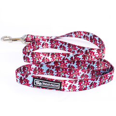 Combo Collar + Correa Atenas - comprar online