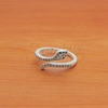 Anillo NA1066
