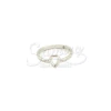 Anillo de Acero NA997