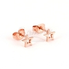 Aritos de Acero Dorado Rose NAN1110