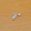 Dije de Acero Blanco NP1243