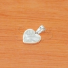 Dije de Acero Blanco NP1329