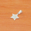 Dije de Acero Blanco NP1330