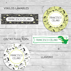 DISEÑO DINOSAURIOS (VIN38)