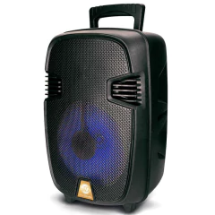 PARLANTE SERIE DORADA SD-801