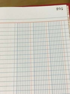Libro Diario 3 Columnas 300 Páginas en internet