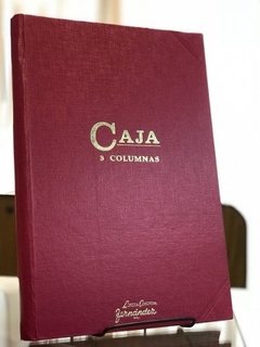 Libro Caja Debe Y Haber 199 Folios 3 Columnas