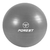 Ball Gym Forest 55cm Gris
