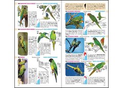 Aves de Argentina y Uruguay / Birds of Argentina & Uruguay - tienda online