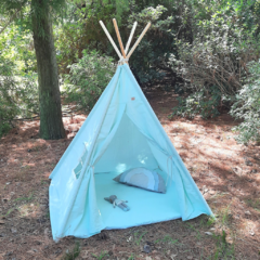 Carpita Tipi Verde Agua