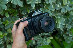 Nikon F401s Con Lente Nikon Nikkor 35 - 80 Mm F 4 - 5,6 - comprar online