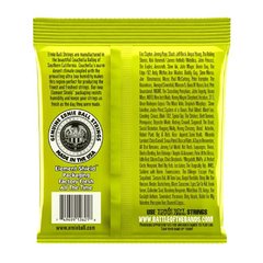 Encordado Guitarra Electrica Ernie Ball 010 - comprar online