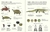 Agua y tierra. Anfibios y reptiles de América - Gabinete de Curiosidades