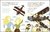 Amelia Earhart - Pequeños relatos de grandes historias - comprar online