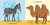 Bestiario de voces animales - Gabinete de Curiosidades