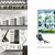 El arquitecto y el árbol en internet