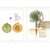 Inventario ilustrado de frutas y verduras en internet