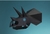 Triceratops Horridus (color negro) - Guardabosques
