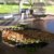 Alfombra Mosaico - buy online