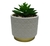 Maceta Geo - comprar online