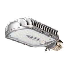 Lampara Para Alumbrado Publico 40w E40 Orientable Luz Dia - INTERELEC