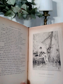Libro "Contes de La Fontaine" - Vanessa Sivulosky