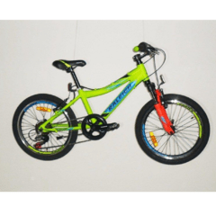 ART. 11215 BICICLETA R 20 VARON RALEIGH MTB ROWDY