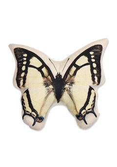 Almofada Borboleta na internet