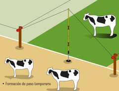PEON-575 Vela De Pasos Móviles desarmable San Miguel - comprar online