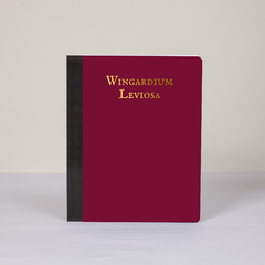 CUADERNO FERA 20 X 25 TAPA BLANDA CUADRICULADO - WINGARDIUM