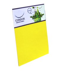 REPUESTO DIBUJO CONDOR COLOR