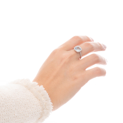 Anillo 27
