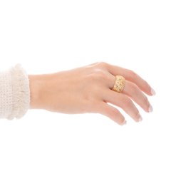 Anillo 23 en internet