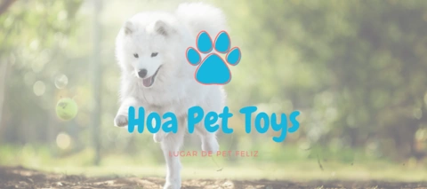 Carrusel Compre brinquedos de Enriquecimento Ambiental para Pets | Hoa Pet Toys