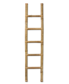 ananda ladder