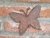 MARIPOSA - comprar online