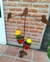 Porta macetas con movimiento. Ideal para espantar pájaros de tu huerta en internet