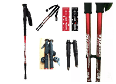 Bastones de trekking Nexxt Oslo