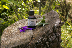 Tintura madre Plenopausia