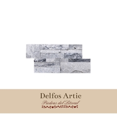 Delfos artic - Piedras del Litoral