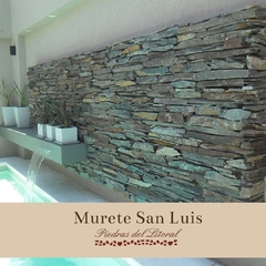 Murete San Luis en internet