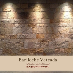 Bariloche veteada en internet