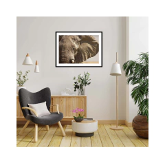 ELEFANTE