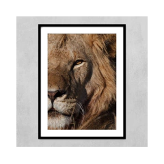 LEÓN - comprar online