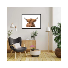 TORO
