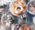 Borlas navideñas con foto + blister por unidad - tienda online