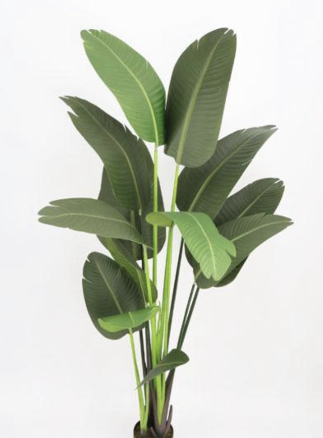 Planta Artificial Strelitzia 1,80 MT - JAZTTO STORE'S